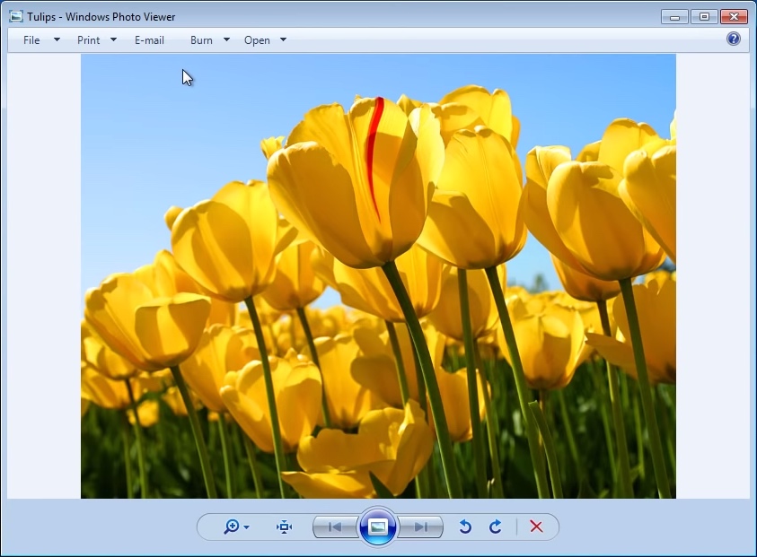 Windows Photo Viewer (2011)